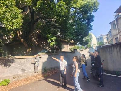 车站路社区：剪除树枝隐患 共建“幸福色织”