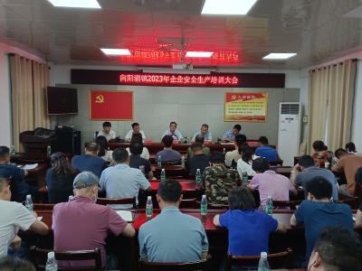 向阳湖镇组织召开企业安全生产教育培训