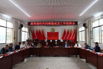咸安区人大常委会到黄荆塘村开展共同缔造试点工作调研