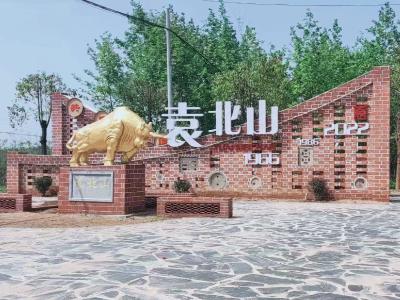 咸安横沟桥镇：乡贤携手乡亲  共建美丽家园