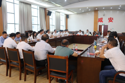 咸安区召开创文测评总结座谈会