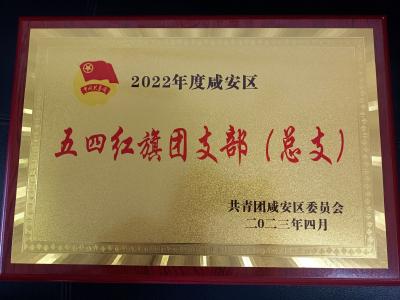 喜讯！咸安移动团支部获“2022年度咸安区五四红旗团支部（总支）”荣誉称号