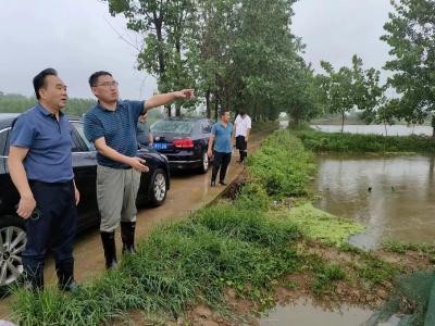 区农业农村局防汛突击队一线战汛情