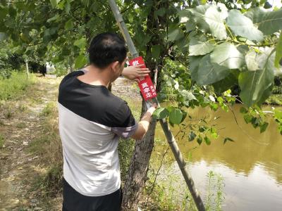 （长江云）咸安：小小“救生竿” 撑起生命防护伞