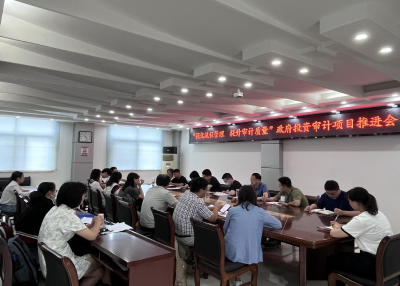 强化流程管理  提升审计质量