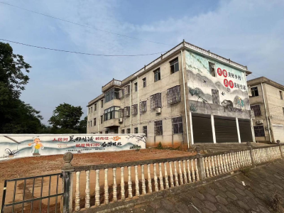 马桥镇金桥村：共谋村湾发展，共建美好家园