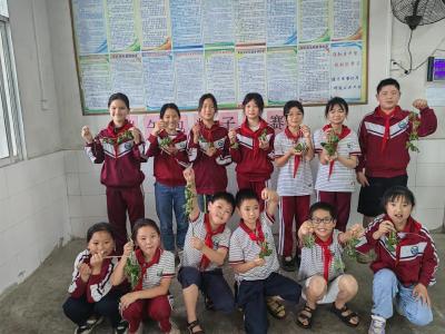 金鸡山小学：端午飘香 “粽”享生活