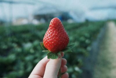 咸安区杨志种植专业合作社