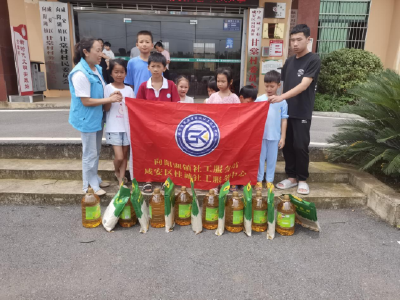 向阳湖镇开展关爱留守儿童志愿服务活动