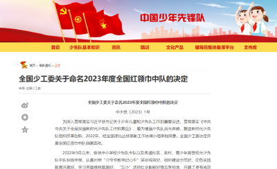 全国红领巾中队！咸安9个集体上榜