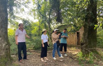 向阳湖国家湿地公园开展对遥感监测疑似问题线索核查工作            