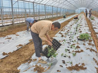 暴雨洪涝过后，“我们”提心振气，全力自救促振兴！