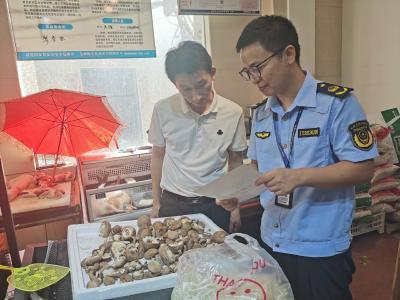 向阳湖镇开展预防野生蘑菇中毒宣传： 远离红伞伞，不做“菇”勇者