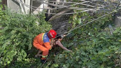 咸安：八旬老人不慎摔下廊桥  公安消防接力救援