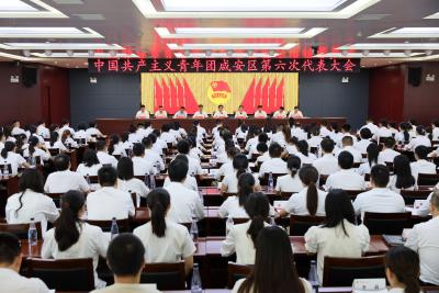 共青团咸安区第六次代表大会召开 顾兴旺出席会议