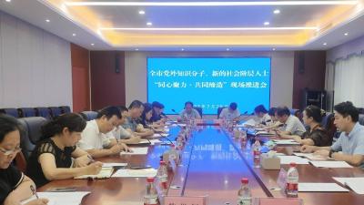 全市党外知识分子、新的社会阶层人士“同心聚力·共同缔造”现场推进会在咸安召开