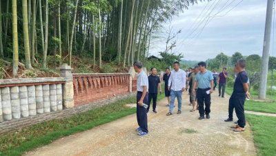 汀泗桥镇长寿村：学习“共同缔造”先进经验 建设美好幸福乡村