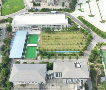 7月31日，第一支门球代表队抵达咸宁！