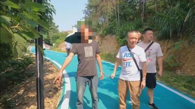 十六潭、青龙山等公园多段路路灯“失明”！真相是……
