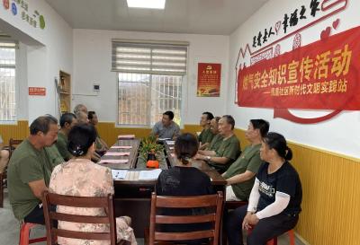 凤凰社区：筑牢燃气安全网 人大代表在行动