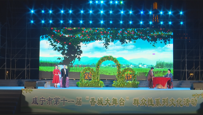 咸安区大型现代楚剧《我爱我村》专场文艺调演在市人民广场举行