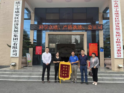“助力创新  振兴咸安”--区经发集团全力支持咸宁市康健医药产业研究院获赠锦旗