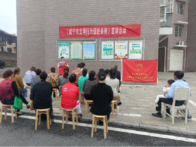 浮山街道：学习宣传文明条例 让文明之花处处绽放