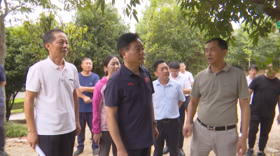 顾兴旺到向阳湖镇、横沟桥镇开展巡林工作时强调 增强国营苗圃场市场竞争力，完善林地病虫害防治机制，守护好古树名木资源