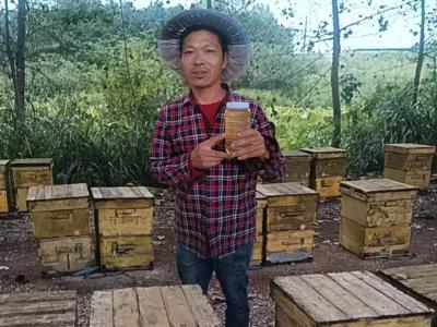 “甜蜜”的烦恼：横沟桥镇1000斤蜂蜜滞销 蜂农急盼销路