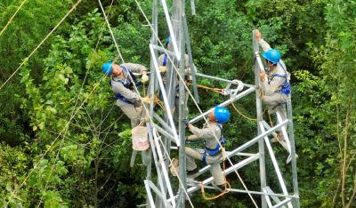 （长江云）电网线路改造 提升供电保障水平