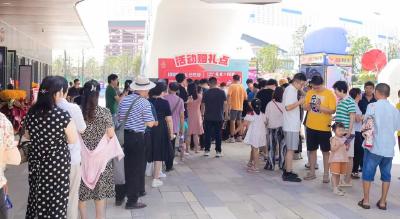 （长江云）咸宁咸安：际华园水晶谷度假区荷原荟商街开业