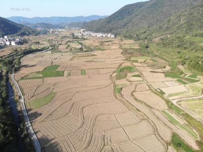 大幕乡：金秋十月，油菜播种正当时