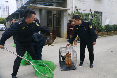 浮山街道：对不文明行为说“不” 全力推进人居环境提升