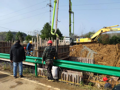 汀泗桥镇长寿村：心系群众建新桥  方便出行解民忧