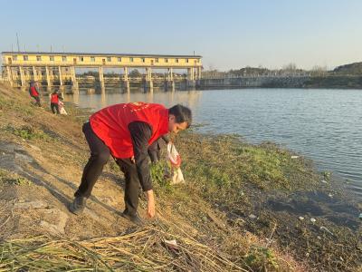 双溪桥镇：深思细悟学条例，“清河行动”促实践