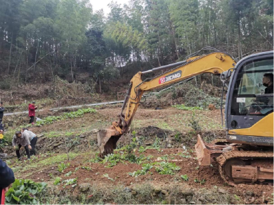 浮山街道：保护城区山体，守护绿水青山