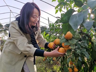 （长江云）新农人 | 张晓明： 科技种出幸福果