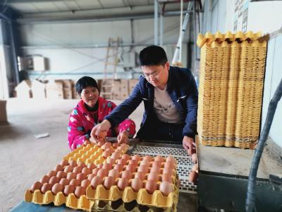 （长江云）咸安黄祠村：一枚鸡蛋变“金蛋”的秘密