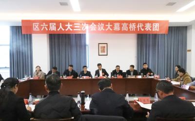李军平参加区六届人大三次会议大幕高桥代表团讨论