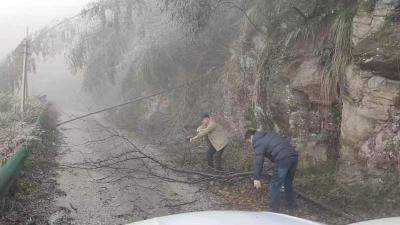 （长江云）以动制冻③咸安密织抗击冰雪冻雨“安全网”