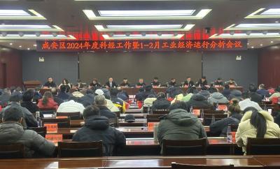 咸安区召开2024年度科经工作暨1-2月工业经济运行分析会议