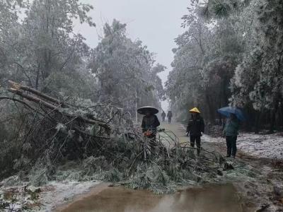 双溪桥镇：雨雪冰冻行路难，党群齐心疏路障