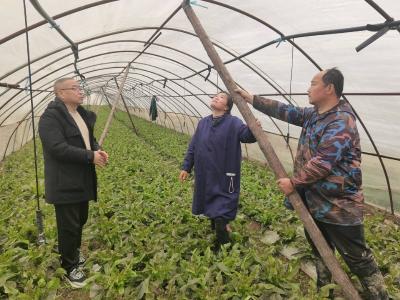 （长江云）咸宁咸安：开展技术指导 确保农业生产安全
