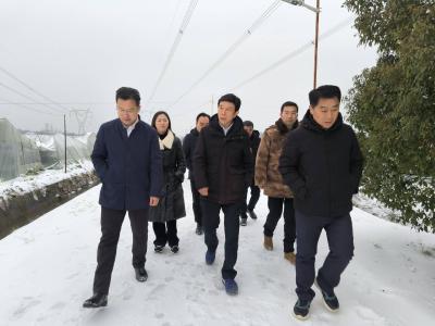 省农业农村厅李宗友来咸安察看灾情 指导救灾工作