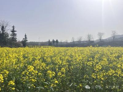 免费学，免费送，参与特色手工体验套餐可免费送131景区门票！3月22日，让我们乡约高桥！