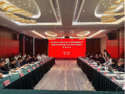 喜讯！咸宁市咸安区黄鹰岩矿区建筑石料用灰岩矿露天开采工程顺利通过安全设施设计审查
