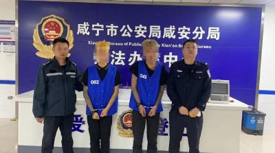 咸安警方8小时内快速破获“拉车门”盗窃案