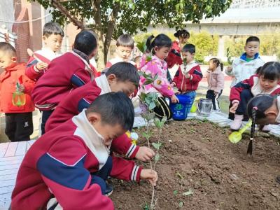 绿美校园，“植”等花开——黄畈幼儿园开展植树活动