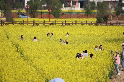 （长江云）咸宁咸安：顶流来了！这个“宝藏地”的春季赏花文旅系列活动 真“香”！
