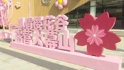 樱花红陌上 邂逅在咸安！2024年咸安区樱花文化旅游活动即将开启